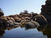 042609 05.webp