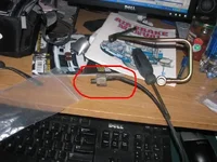 wf.webp