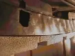tn6.webp