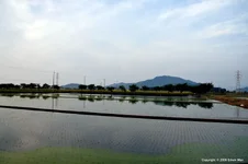 japan1.webp