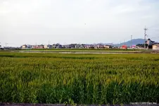 japan2.webp