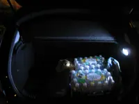 Trunk.webp