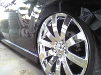 p5.webp