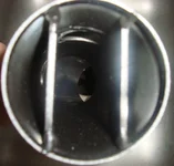 DSC01926.webp