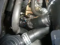 DSC01934.webp