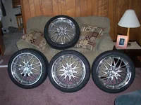 100_0005.webp