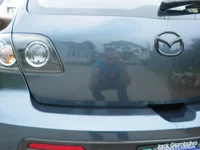 IMGP0270.webp