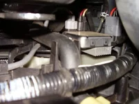 Left Fan.webp