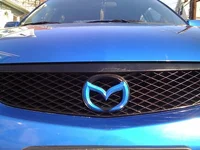 finished grill on car.webp