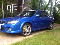yellow cals 3.webp