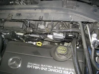 From Above.webp