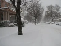 Mt Vernon.webp