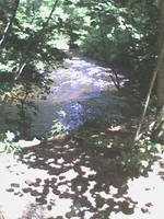 ride2.webp
