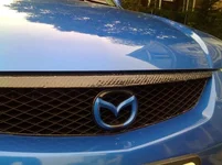 carbon grill 3.webp