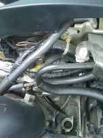 IMAGE_084f.webp
