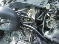 IMAGE_086f.webp