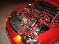 DSCF0425.webp