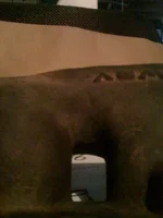 photo(6).webp