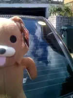 photo(9).webp