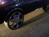 dubz.webp