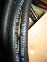 IMG_0738 (Custom).webp