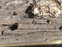 P8230219.webp