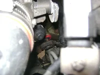 DSC00832.webp