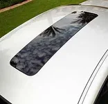 maxima2.webp
