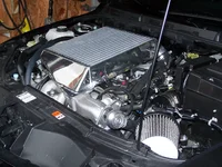 100_0316.webp