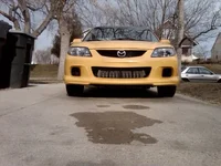Phone pics 007.webp