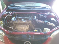 .webp