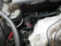 Picture.webp