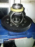 Case & Ring Gear 5.webp