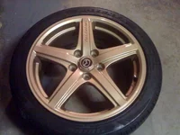 gold rim.webp