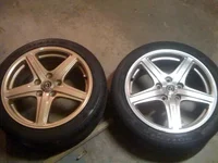 Gold-silver rims.webp