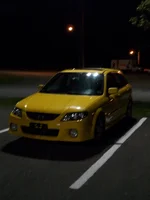 100_0006.webp