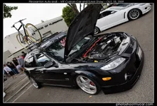 IMG_8139copy.webp
