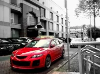 bumper.webp