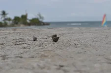 1JAMAICA3 216.webp