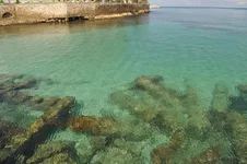 1JAMAICA3 343.webp