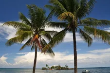 1JAMAICA3 367.webp