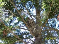 727716202_l.webp