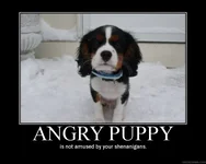 poster21684742.webp