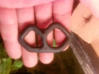 Photo0069.webp