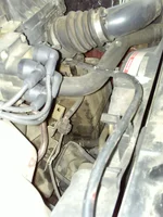 PICT0012.webp