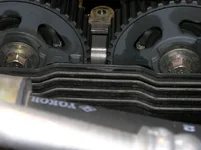 Protege cam sprockets photo 1.webp