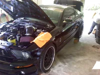 Jakes Shelby.webp