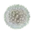 raincitysun
