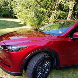 2019 touring