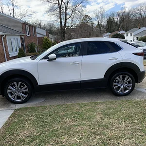 CX-30 side.jpg